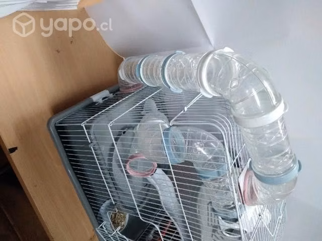 Jaula hamster