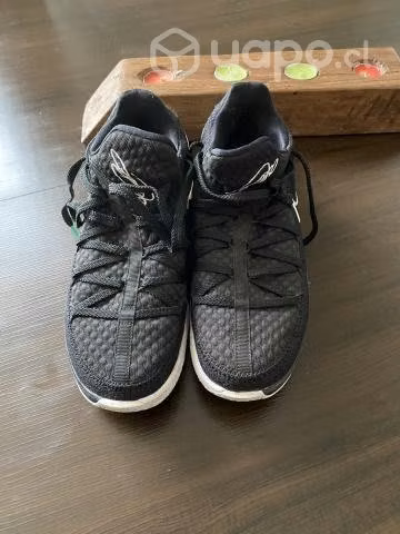 Zapatillas Lebron Low 17