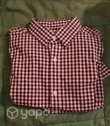 Camisas