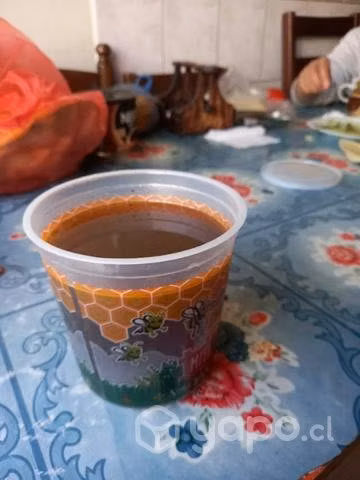 Miel de Quillay - 100% natural