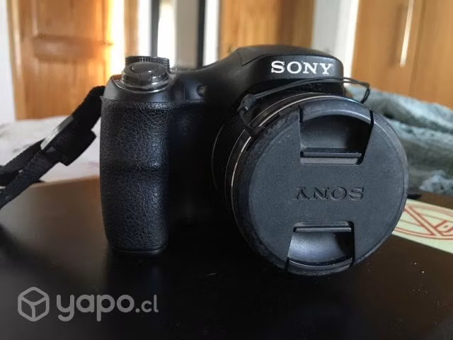 Sony dsc-h300