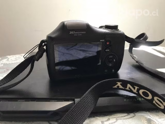 Sony dsc-h300