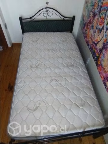 Cama