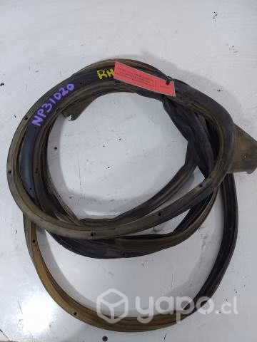 Goma Contorno Puerta Delantera Derecha (NP31020) N