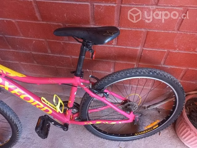 Bicicleta Oxford Venus 1