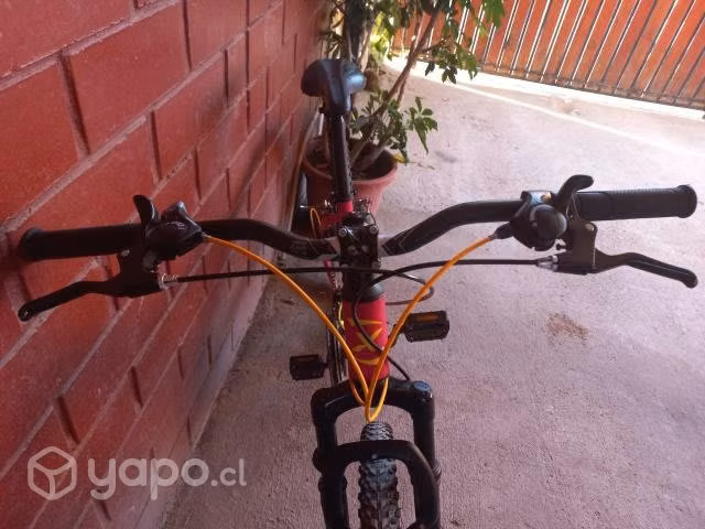 Bicicleta Oxford Venus 1