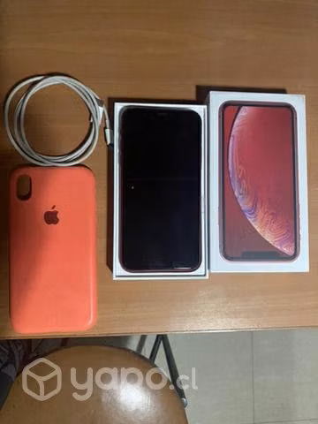 IPhone XR 64g 6 meses de uso