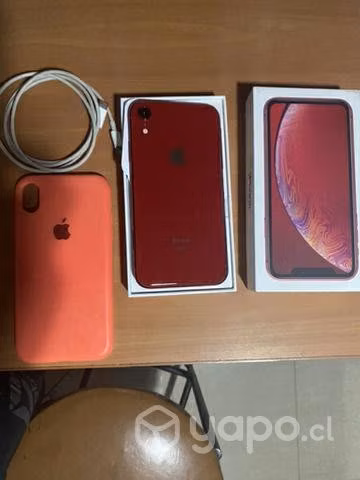 IPhone XR 64g 6 meses de uso