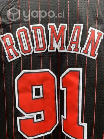 Camiseta Dennis Rodman de los Chicago Bulls NBA