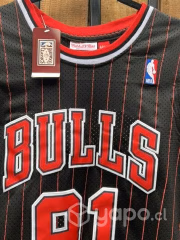 Camiseta Dennis Rodman de los Chicago Bulls NBA