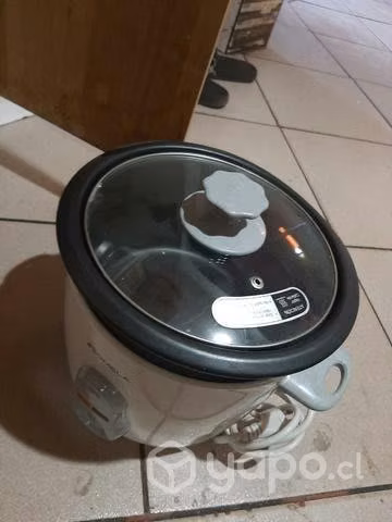 Arrozera somela nueva