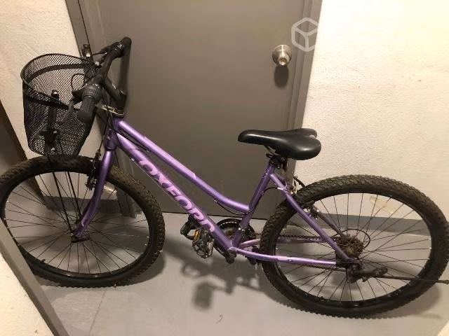 2 bicicletas oxford