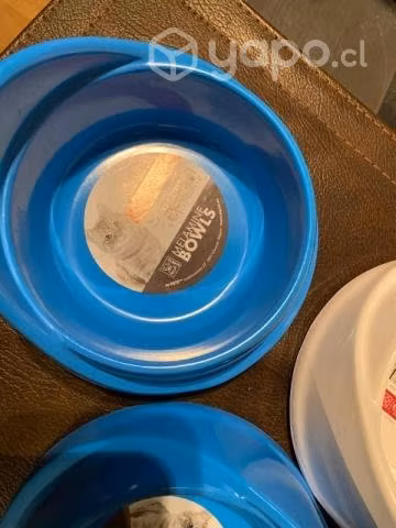 Plato Antideslizante alimento o agua