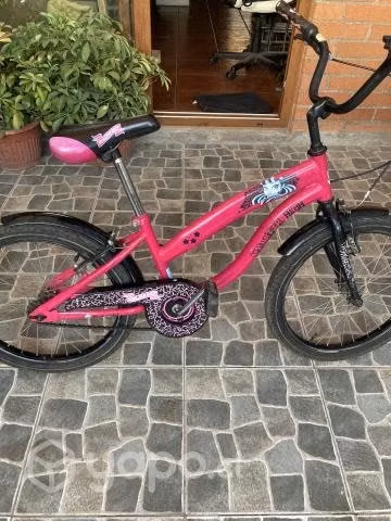 Hermosa Bicicleta Monster High Para Niña Aro 20