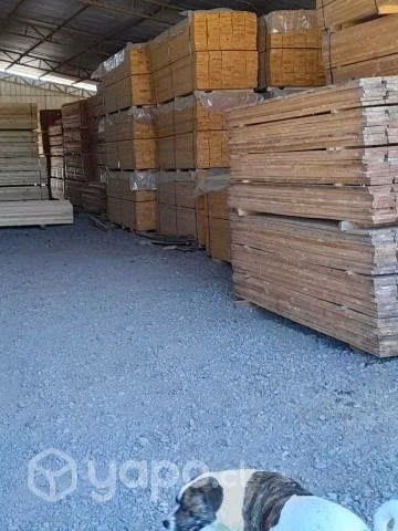 Terreno Industrial con casa