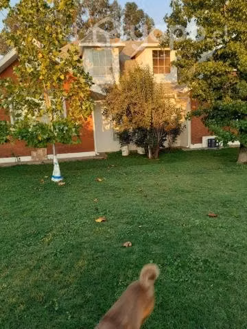 Terreno Industrial con casa