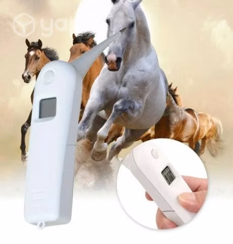 Termómetro Veterinario Digital Rápido Y Eficiente