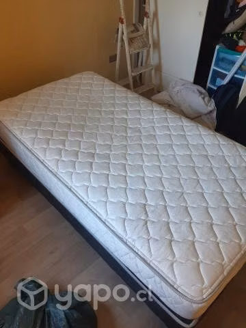 cama rosen