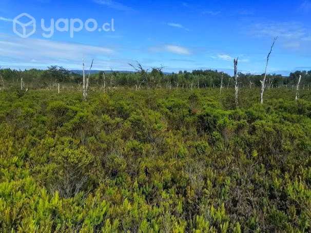 Proyecto Ruta 5 - Imagen 5