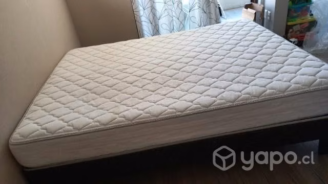 Cama