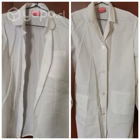 Ropa samca arumanti