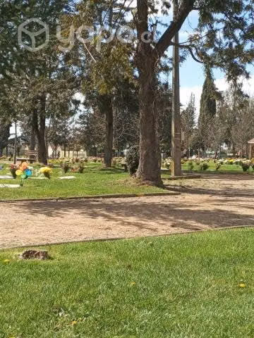 Sepultura Parque Las Rosas