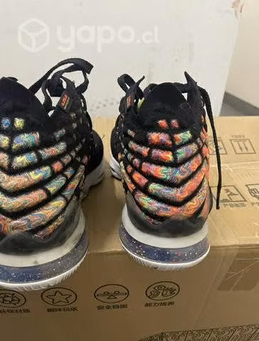 Nike Lebron James XVII $95.000