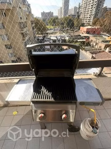 Parrilla a gas weber spirit ii