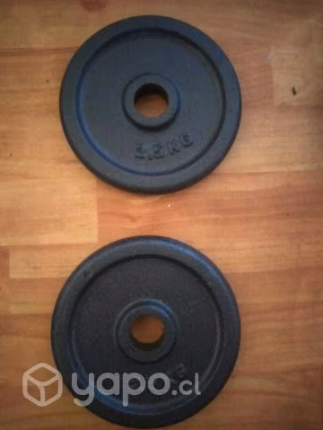 Discos preolimpicos 2.5 Kg (par)