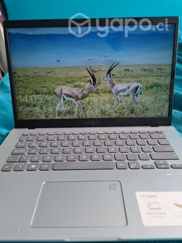 Notebook Asus