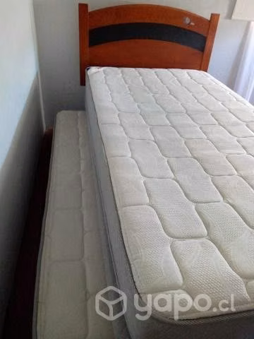 Divan cama