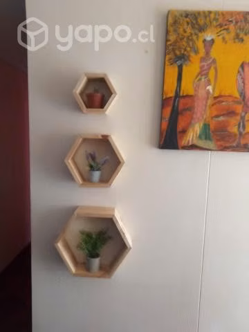 Organizadores hexagonales