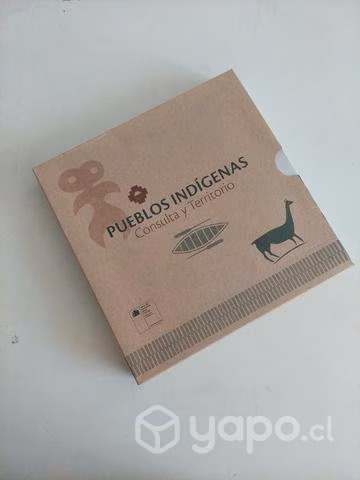 Libro Pueblos Indigenas