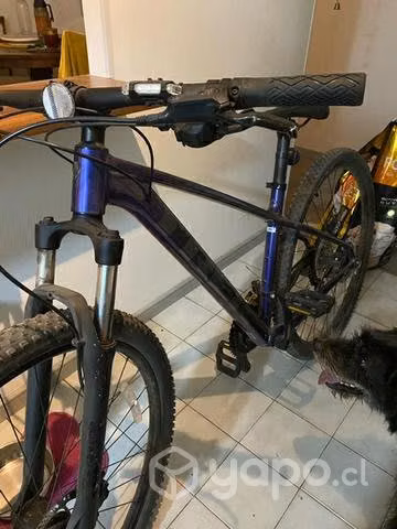 Bici Marlin 5
