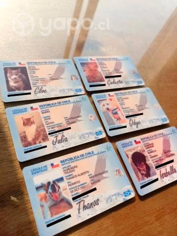Carnet mascota personalizado