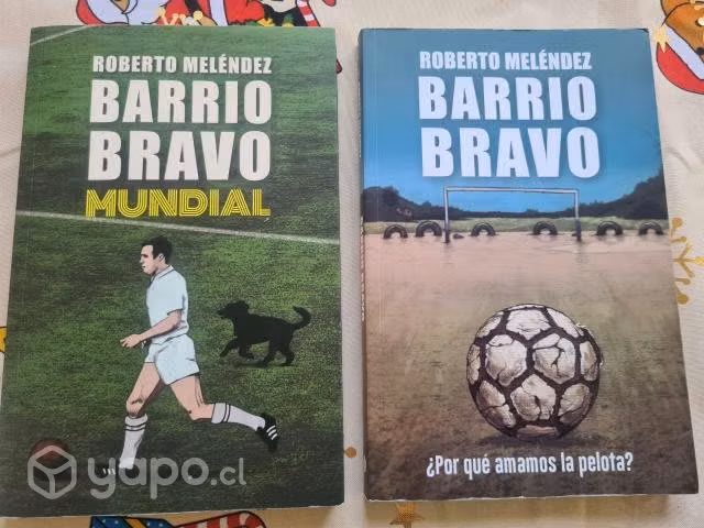 Barrio bravo