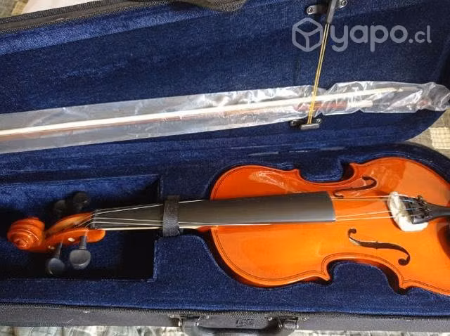 Violin soprano