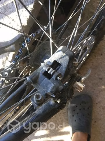 Bicicletas - Imagen 3
