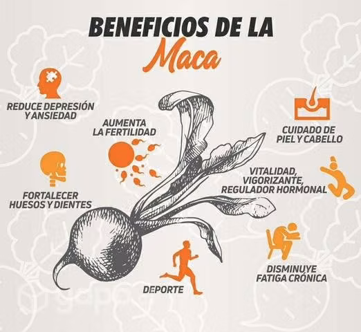 Maca negra!!