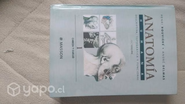 Libro Rouviére, cabeza y cuello