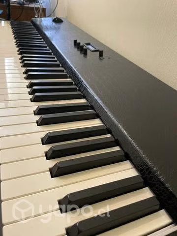 Studiologic Acuna 73