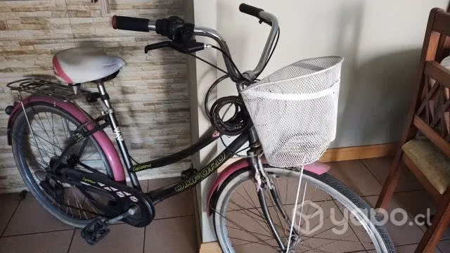 bicicleta - Imagen 4
