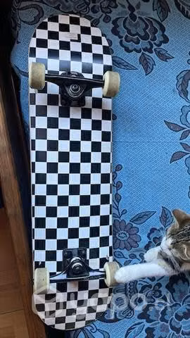 Skate como nuevo