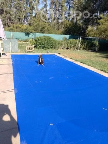 Cubrepiscina