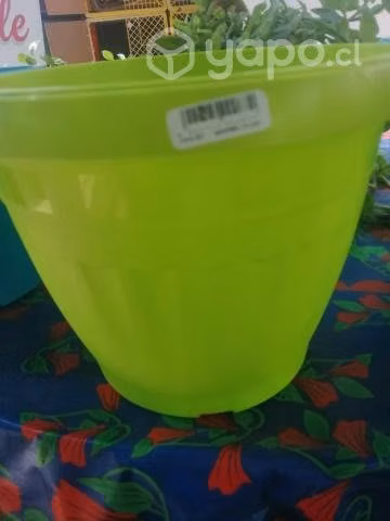 Macetero de Lujo #23