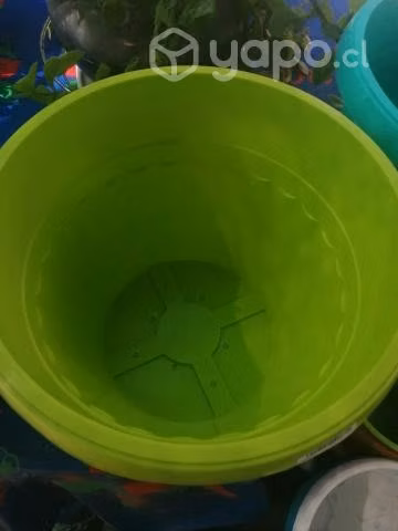 Macetero de Lujo #23 - Imagen 3