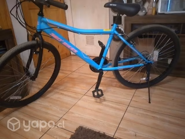 Bicicleta mujer