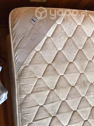 cama Rosen 2 plazas