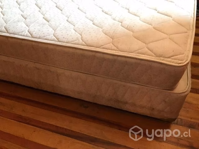 cama Rosen 2 plazas