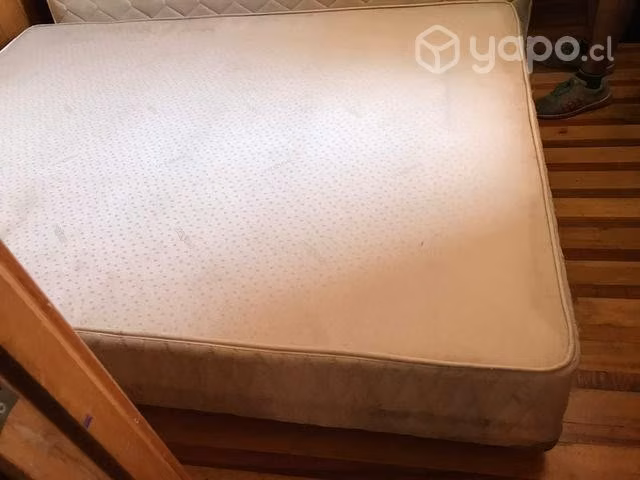 cama Rosen 2 plazas